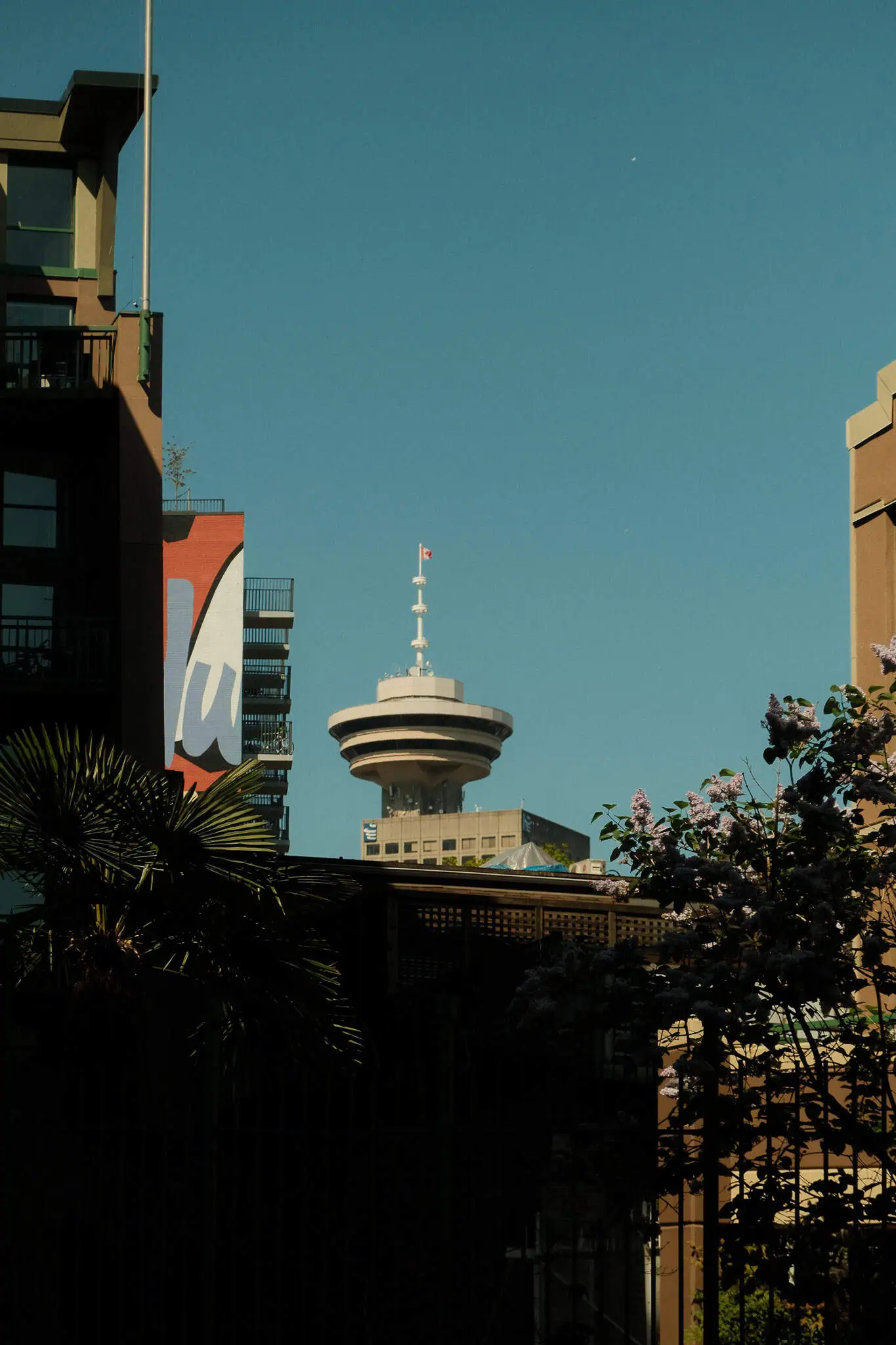 Image of Stay Longer